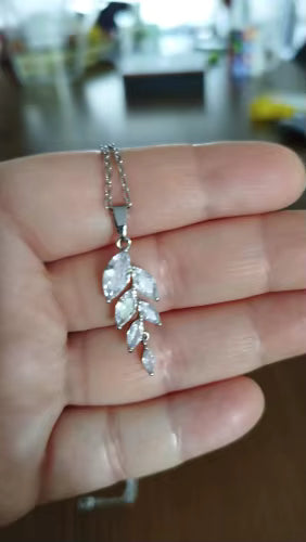 Gift that wowed