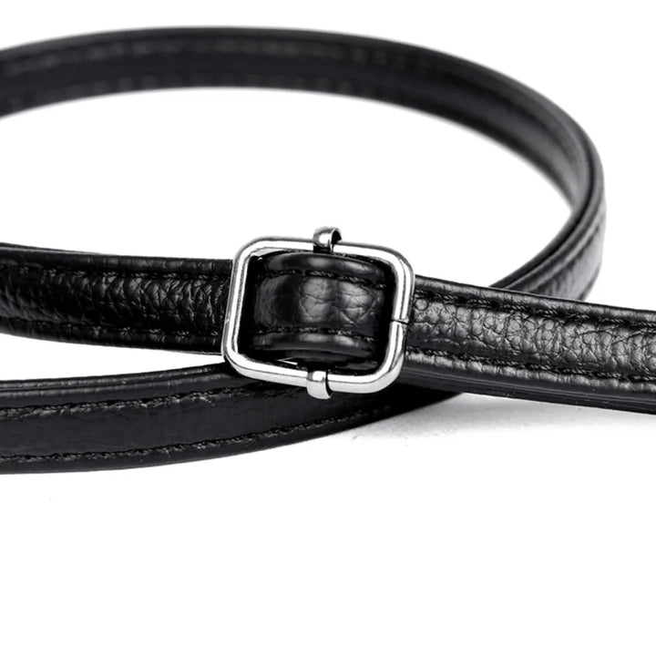 aline |  elegant crossbody shoulder bag